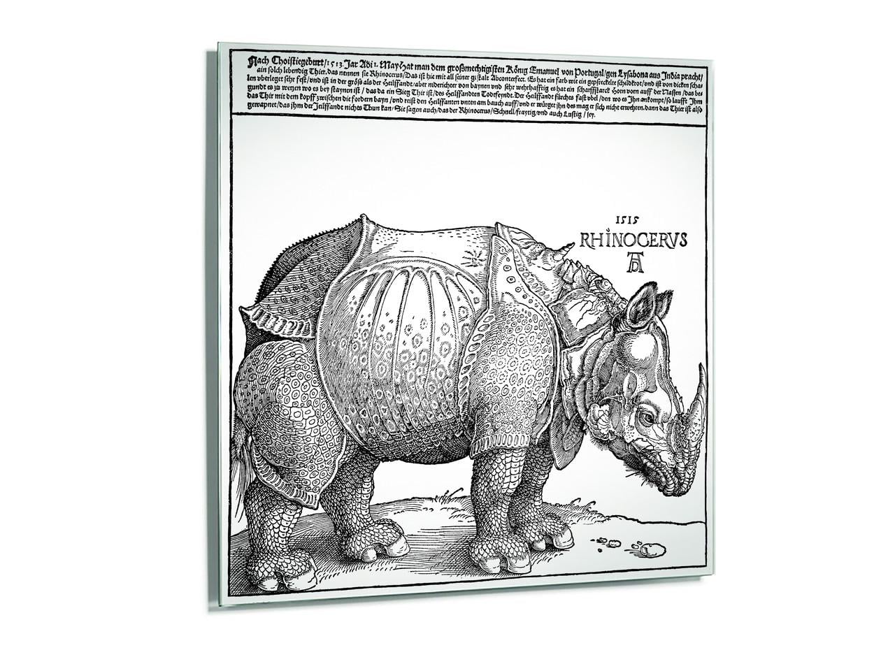 Зеркало дизайнерское с гравюрой Альбрехта Дюрера Rhinoceros 300х300 мм (M04303)