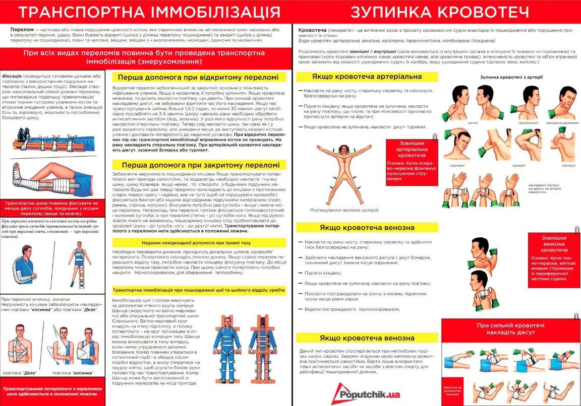 Автомобільна аптечка медична Poputchik 02-001-М згідно з ТУ м'який футляр (EE01815) - фото 5 Автомобільна аптечка медична Poputchik 02-001-М згідно з ТУ м'який футляр (EE01815) - фото 5