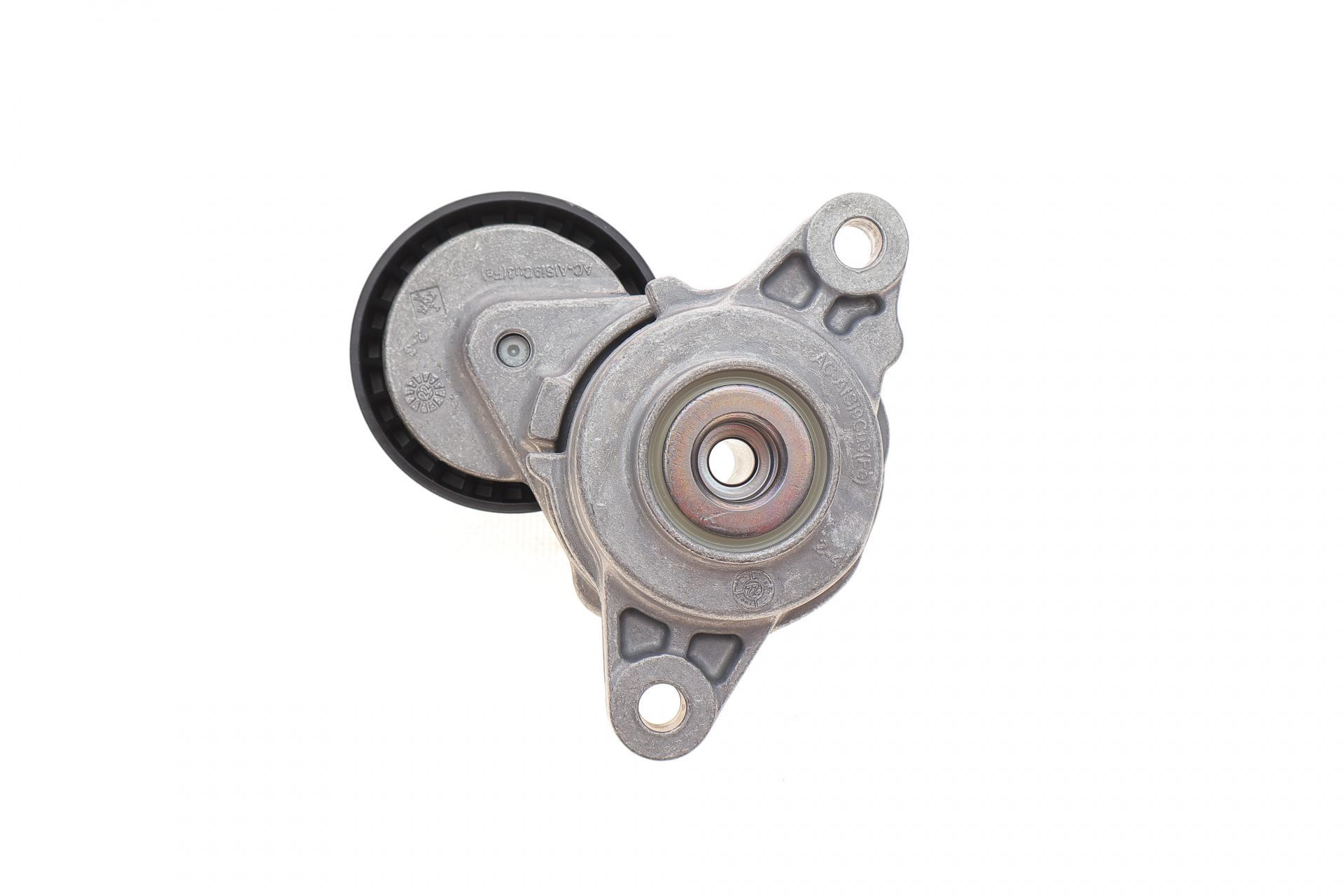 Натяжник ремня генератора INA Citroen Berlingo/Peugeot Partner 1.6HDI/Fiat Scudo 1.6D (534 0795 10)