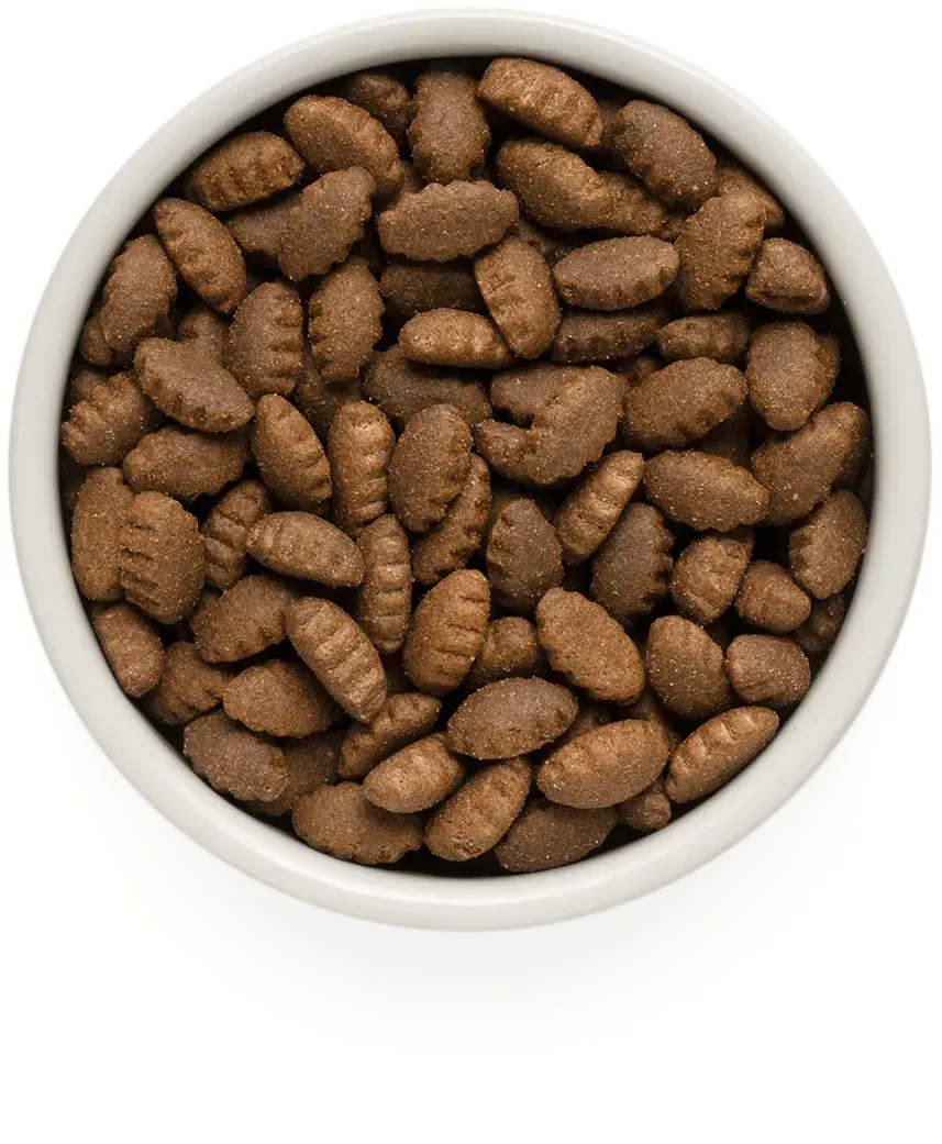 Корм для собак сухой Grandorf Lamb and Turkey Large Breeds 3 кг - фото 2