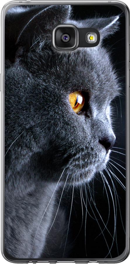 Чехол на Samsung Galaxy A7 (2016) A710F Красивый кот (3038t-121-42517)