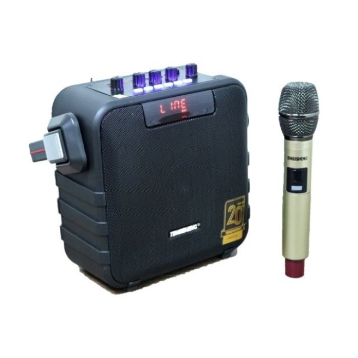 Портативная Bluetooth мини-караоке-колонка с микрофоном Temeisheng SL 05-26