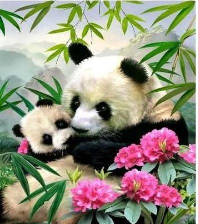 Алмазна мозаїка Дві панди на полотні з підрамником 30х40 см (GB72722)