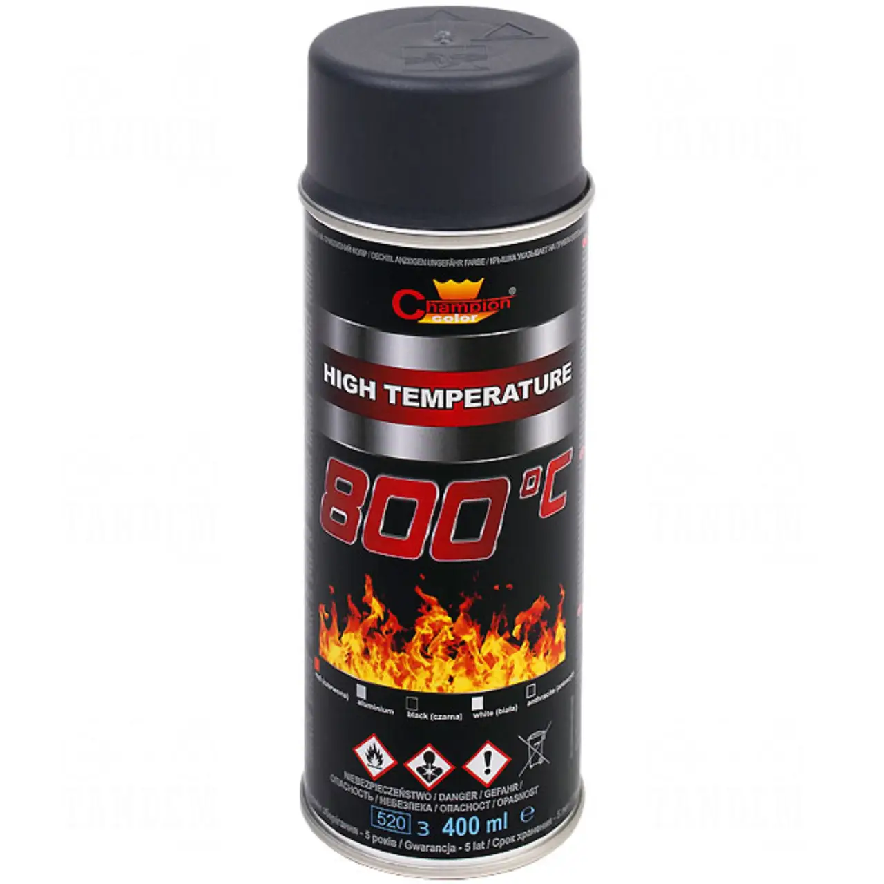 Фарба жаростійка аерозольна Champion Color для мангалів та камінів 800°C 400 мл Чорний (28715833)