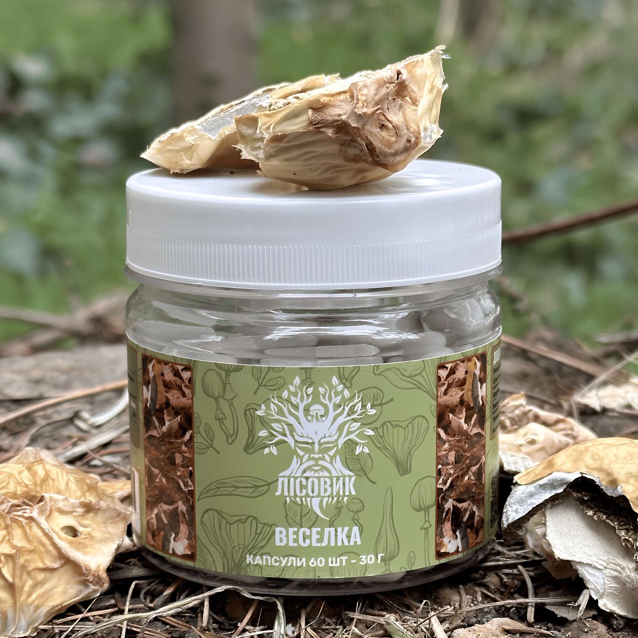 Веселка звичайна Лісовик 60 шт. по 0,5 г (481442)