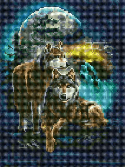 Алмазна мозаїка Rainbow Art Вовки під місяцем 30x40 см (EJ1249) Алмазна мозаїка Rainbow Art Вовки під місяцем 30x40 см (EJ1249)