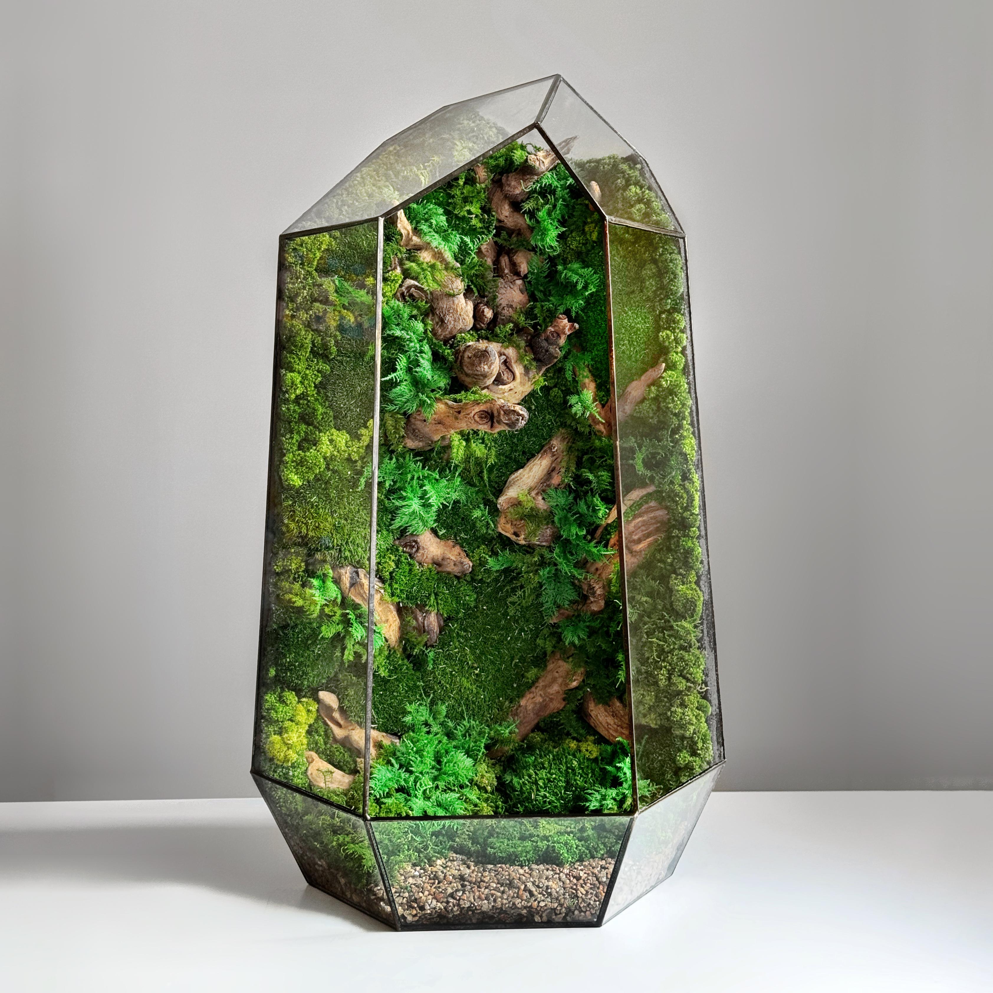 Моссариум Минимализм 50 см