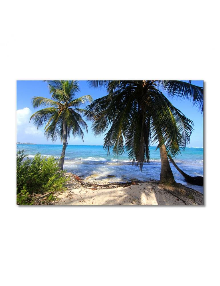 Картина модульная Пляж с пальмой 1 модуль 50x75 см