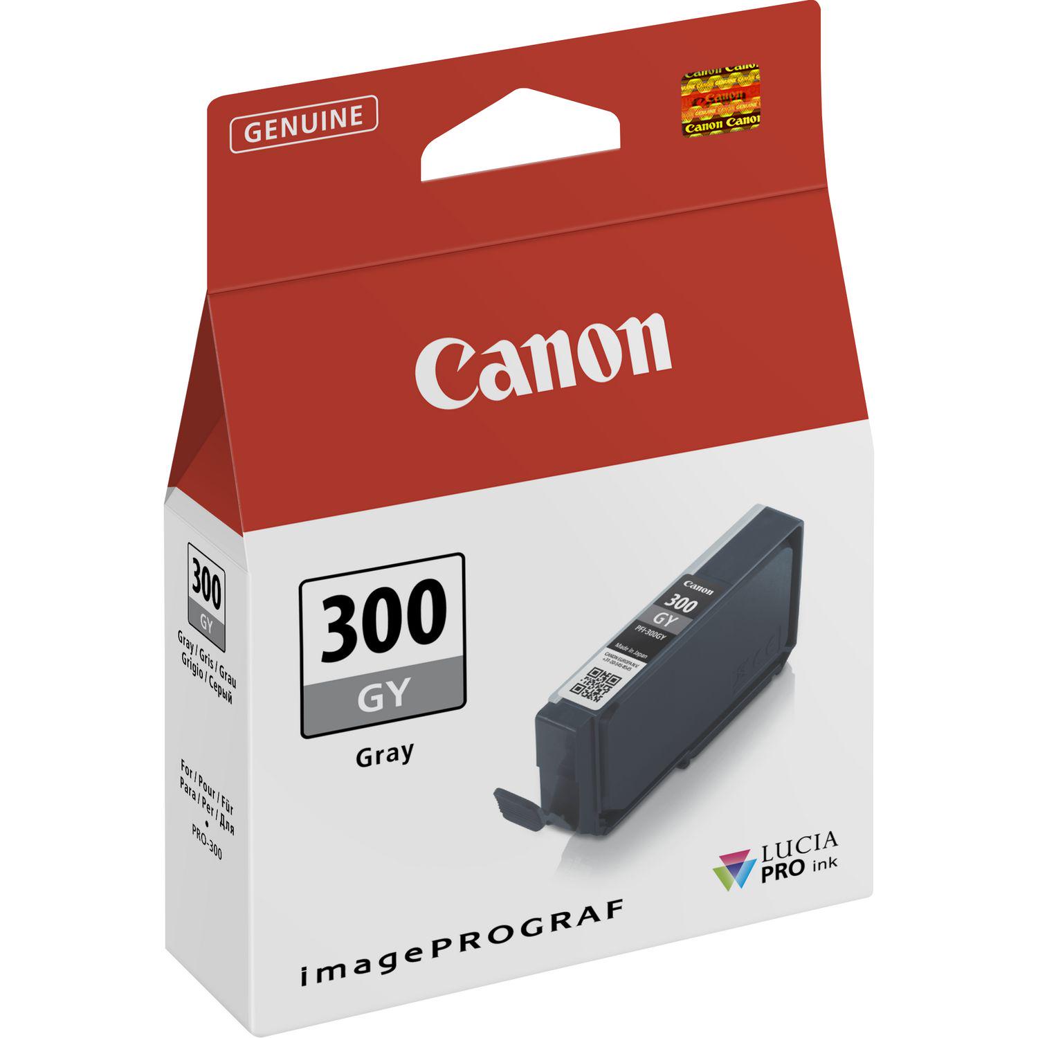 Картридж для струйного принтера Canon PFI-300 14 мл Grey (4200C001) - фото 2