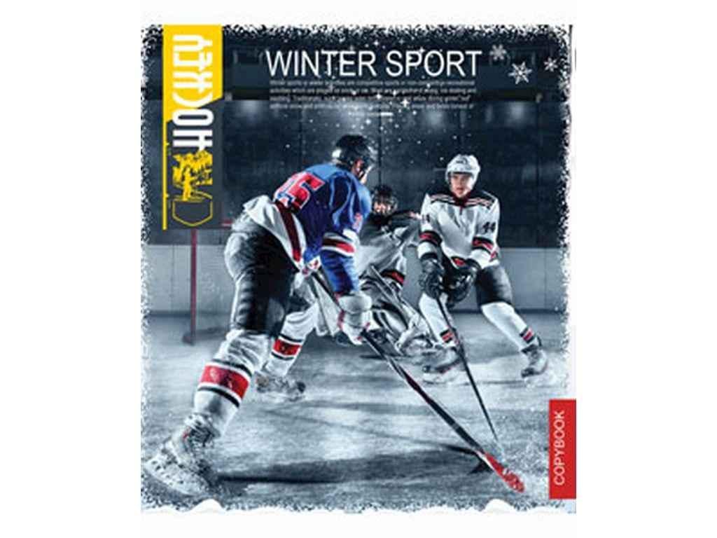 Тетрадь в линию Мечты сбываются 48 л. 16 шт. 3472л Зимний спорт (1067353)