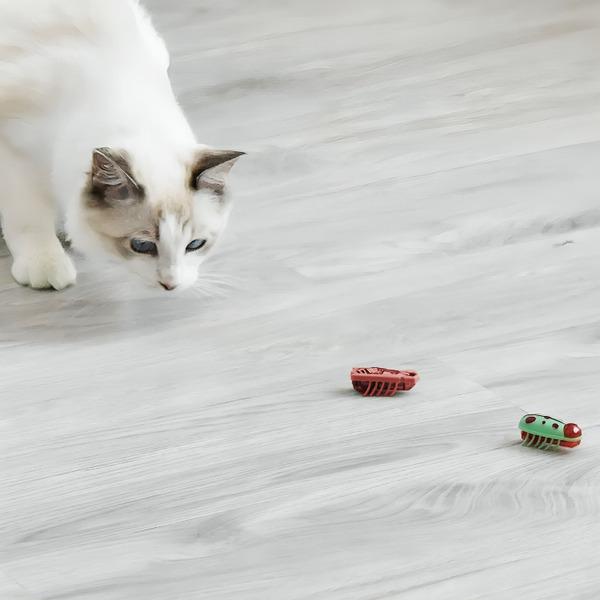 Умные игрушки для кошек 2 шт. (J00022) - фото 7 Умные игрушки для кошек 2 шт. (J00022) - фото 7