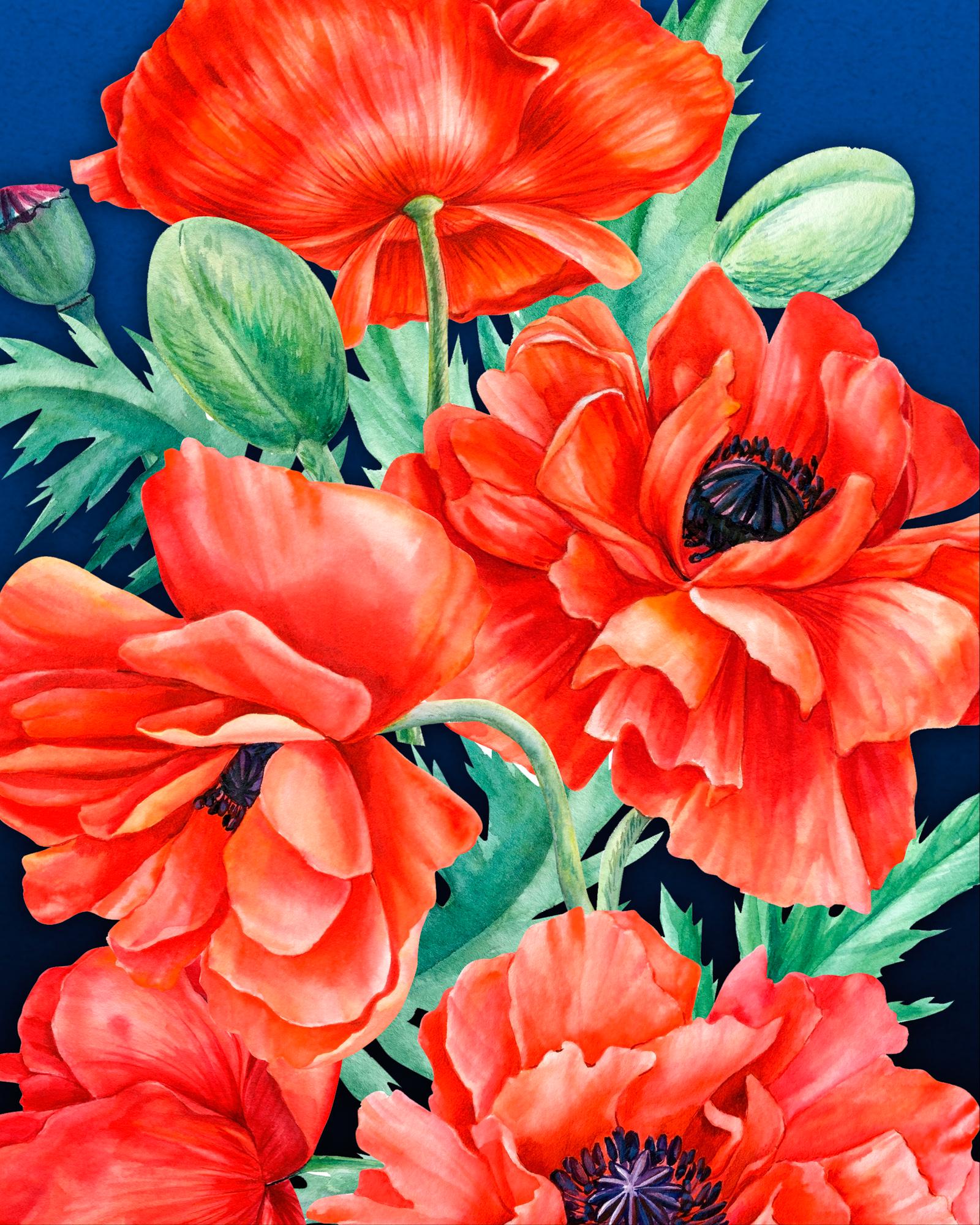 Алмазная мозаика на подрамнике Santi Маки 40x50 см (Top-954324)