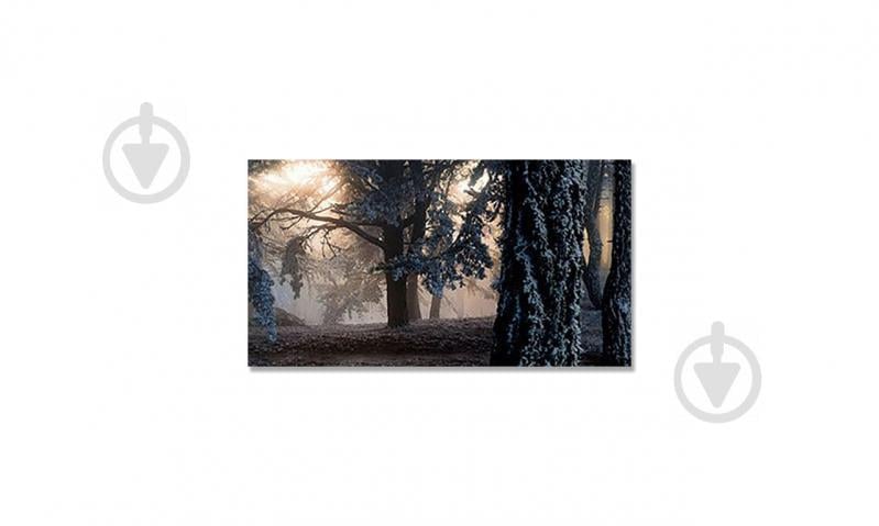 Наклейка виниловая на стол Zatarga "Туманный Лес 3Д" 650х1200 мм (Z181337/1st) Наклейка виниловая на стол Zatarga "Туманный Лес 3Д" 650х1200 мм (Z181337/1st)