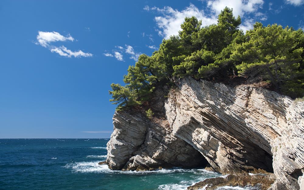 Картина Природа PR024 55х85 см
