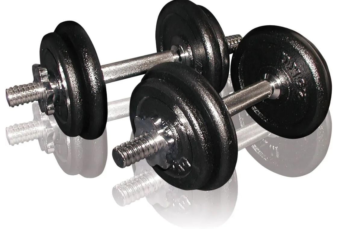 Гантели сборные Toorx 20 кг с кейсом (VAL-20DGN)