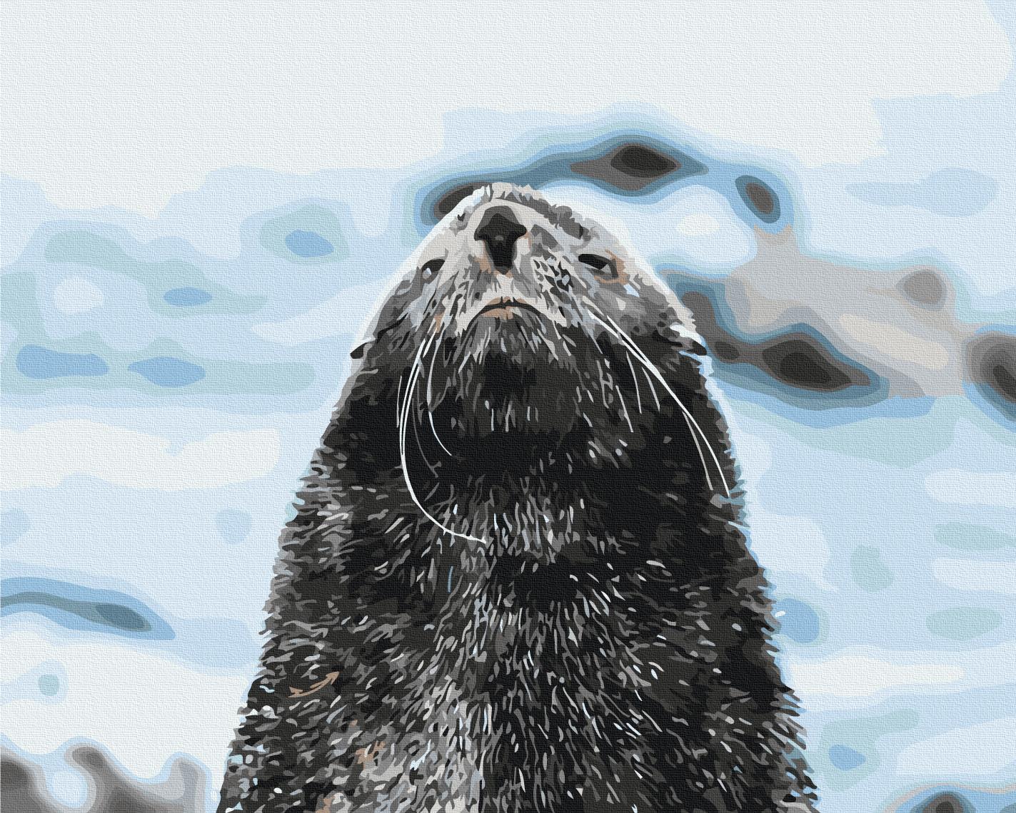 Картина по номерам Brushme Морской котик 40x50 см (BS54270)