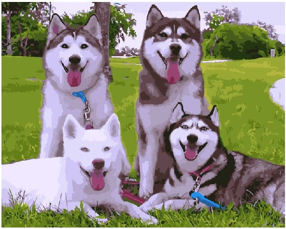 Картина по номерам Brushme Милые хаски (GX3842) Картина по номерам Brushme Милые хаски (GX3842)