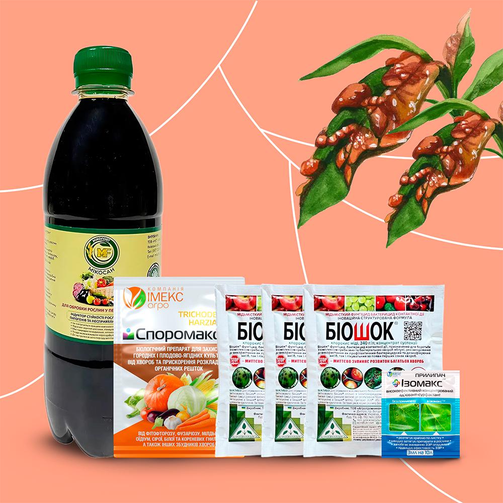 Набір бакова суміш від курчавості листя персика на 5-10 дерев (3858) - фото 2 Набір бакова суміш від курчавості листя персика на 5-10 дерев (3858) - фото 2