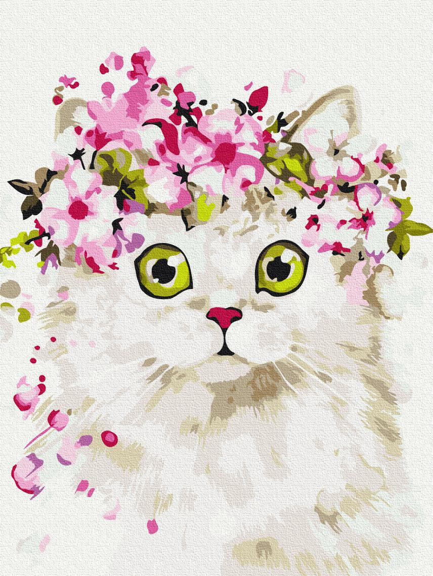 Картина по номерам Brushme Удивленная кошка 30x40 см (RBS51840)