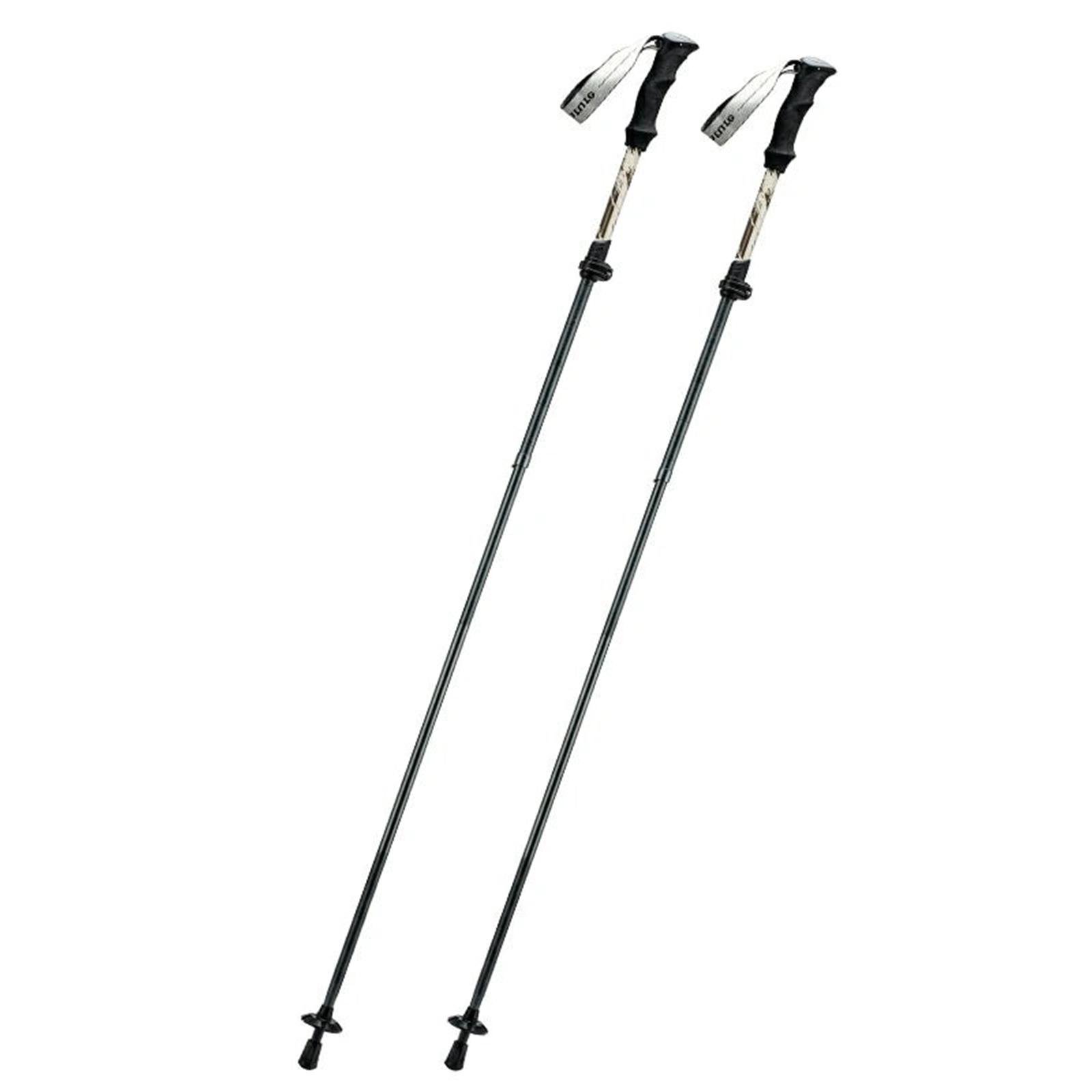 Трекинговые палки для скандинавской ходьбы Qunatue PR603 Черный (QN-PR603-5235)