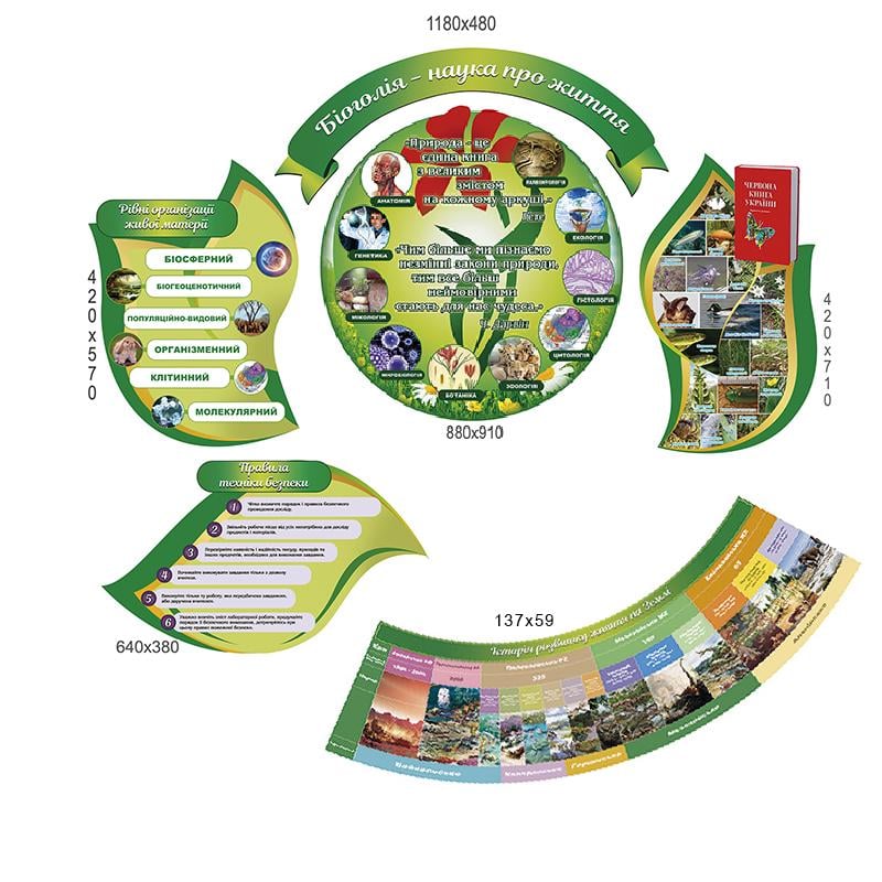 Синий стенд Уголок биологии - фото 2