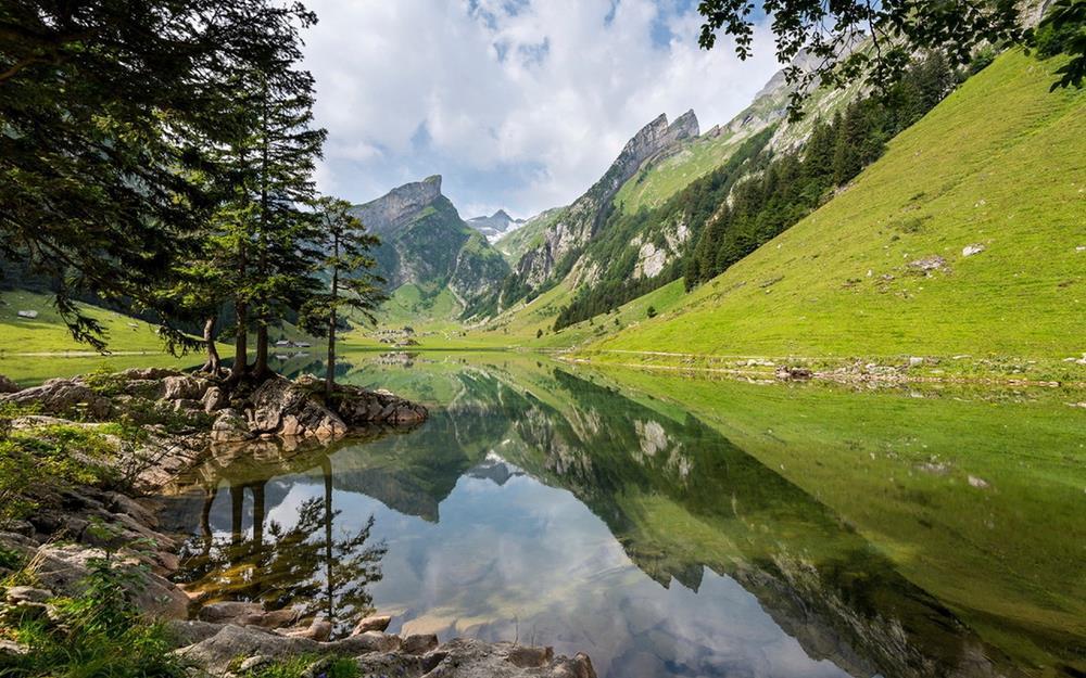 Картина на холсте Природа 30х40 см (N239)