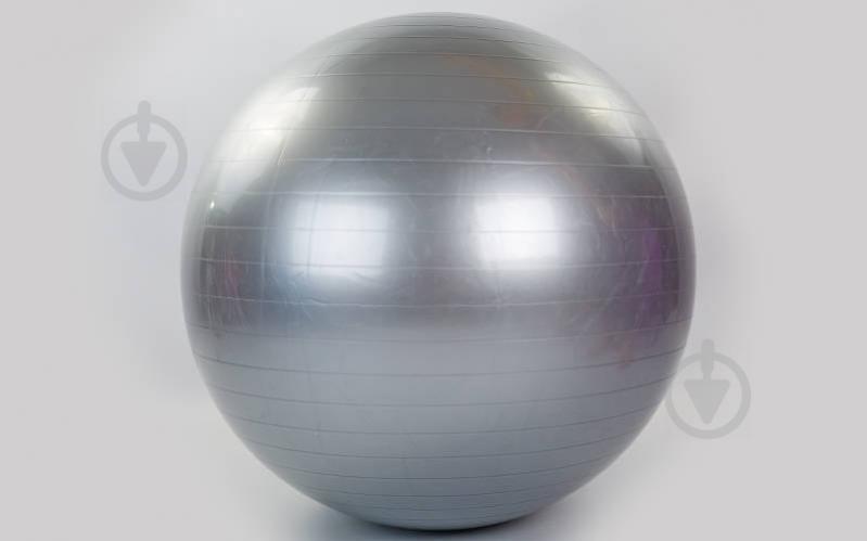 Фитбол Zelart FI-1980-65 65 см Серый (FI-1980-65_Серый)