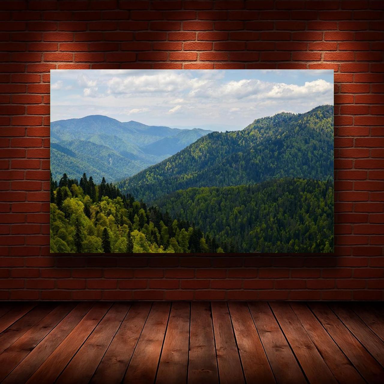 Картина на холсте Природа 55х85 см (N917)