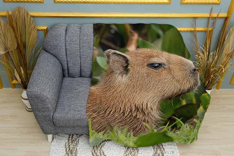 Плед Capybara in leaves плюш двошаровий 150х210 см (113489-3)
