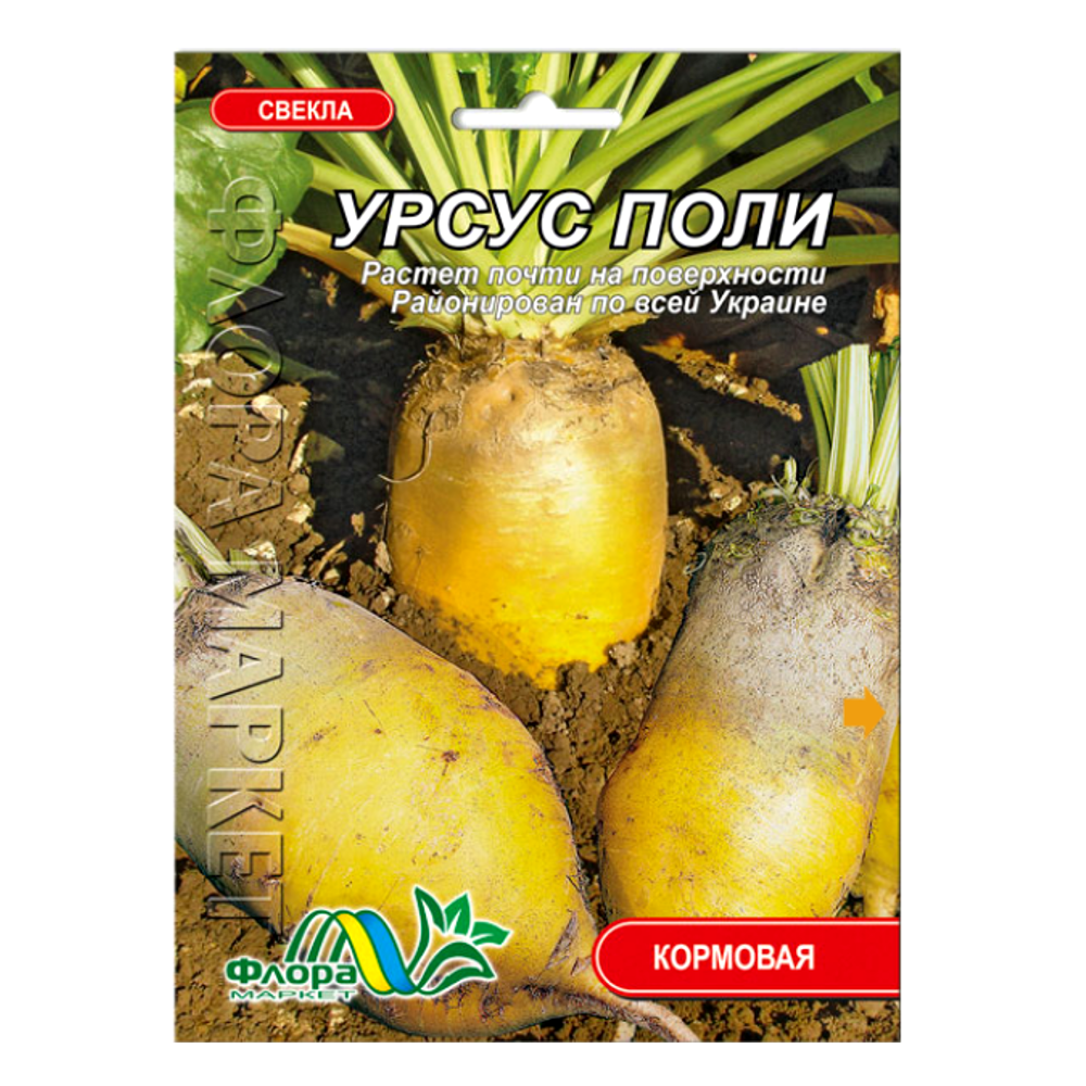 Семена свеклы кормовая Урсус Поли желто-оранжевая цилиндрическая позднеспелая 30 г (29723)