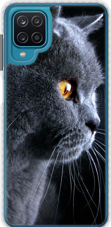 Чехол на Samsung Galaxy M12 M127F Красивый кот (3038pc-2360-42517)