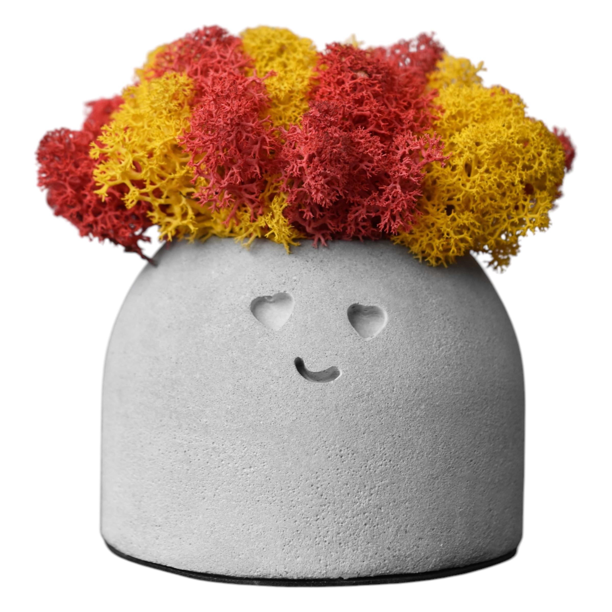 Кашпо Luna со стабилизированным мхом Желтый/Красный/Серый (14073338) Кашпо Luna со стабилизированным мхом Желтый/Красный/Серый (14073338)