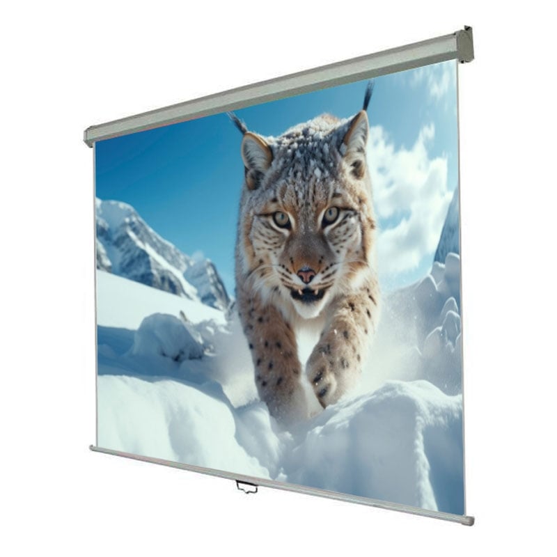 Экран проекционный Walfix SNM-2 настенный потолочный 84" 170x127 см 4:3 (tf536)