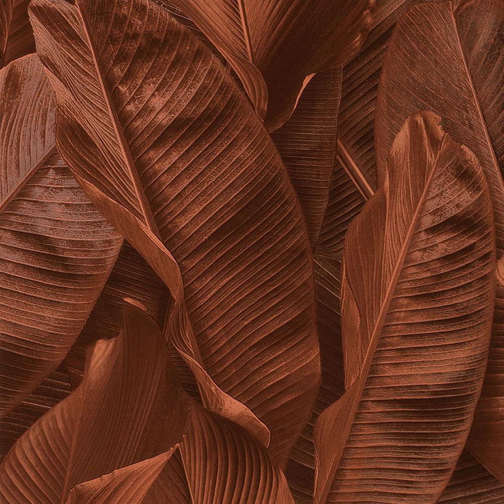 Обои виниловые на флизелиновой основе Limonta Lymphae (17810) Обои виниловые на флизелиновой основе Limonta Lymphae (17810)