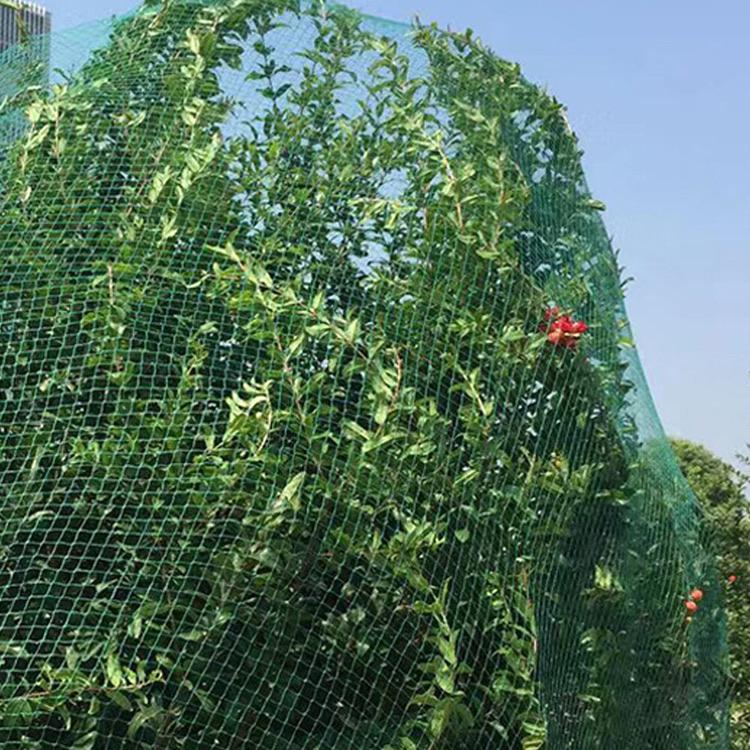 Сетка защитная от птиц Птичка 2x100 м ячейка 30х35 мм Черный (676) - фото 15 Сетка защитная от птиц Птичка 2x100 м ячейка 30х35 мм Черный (676) - фото 15