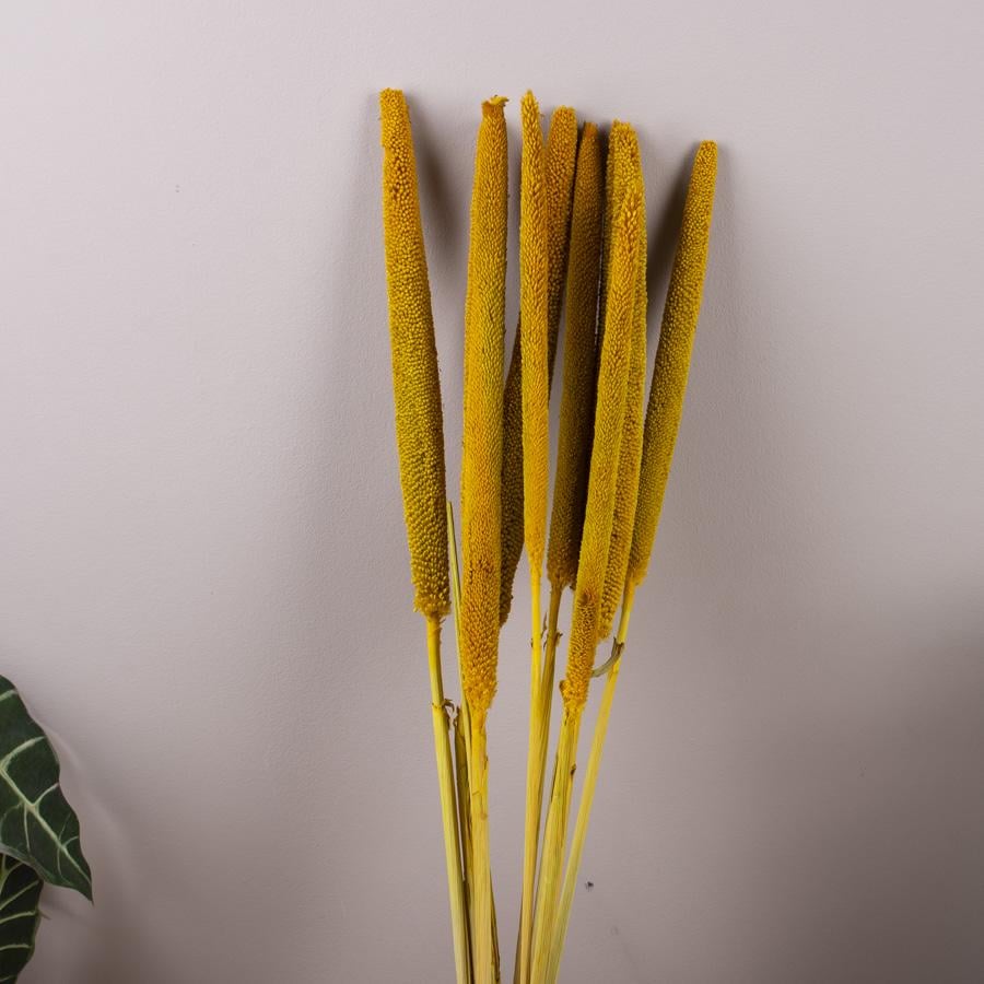 Сухоцвет Babala Желтый (4291-3) Сухоцвет Babala Желтый (4291-3)