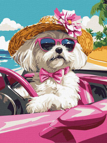 Картина по номерам Ideyka Розовая машина 30x40 см (Id-KHO6738)