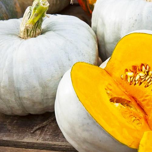 Семена Гарбуз Florium Волзький Сірий (10248)