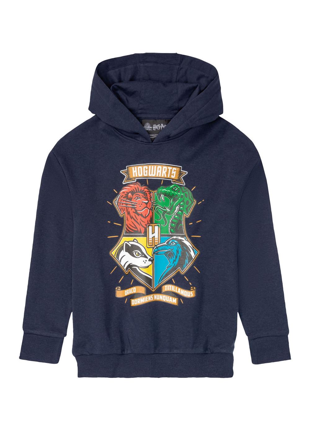 Худи для мальчика Disney Harry Potter 415636 158-164 см 12-14 лет Темно-синий (75541)