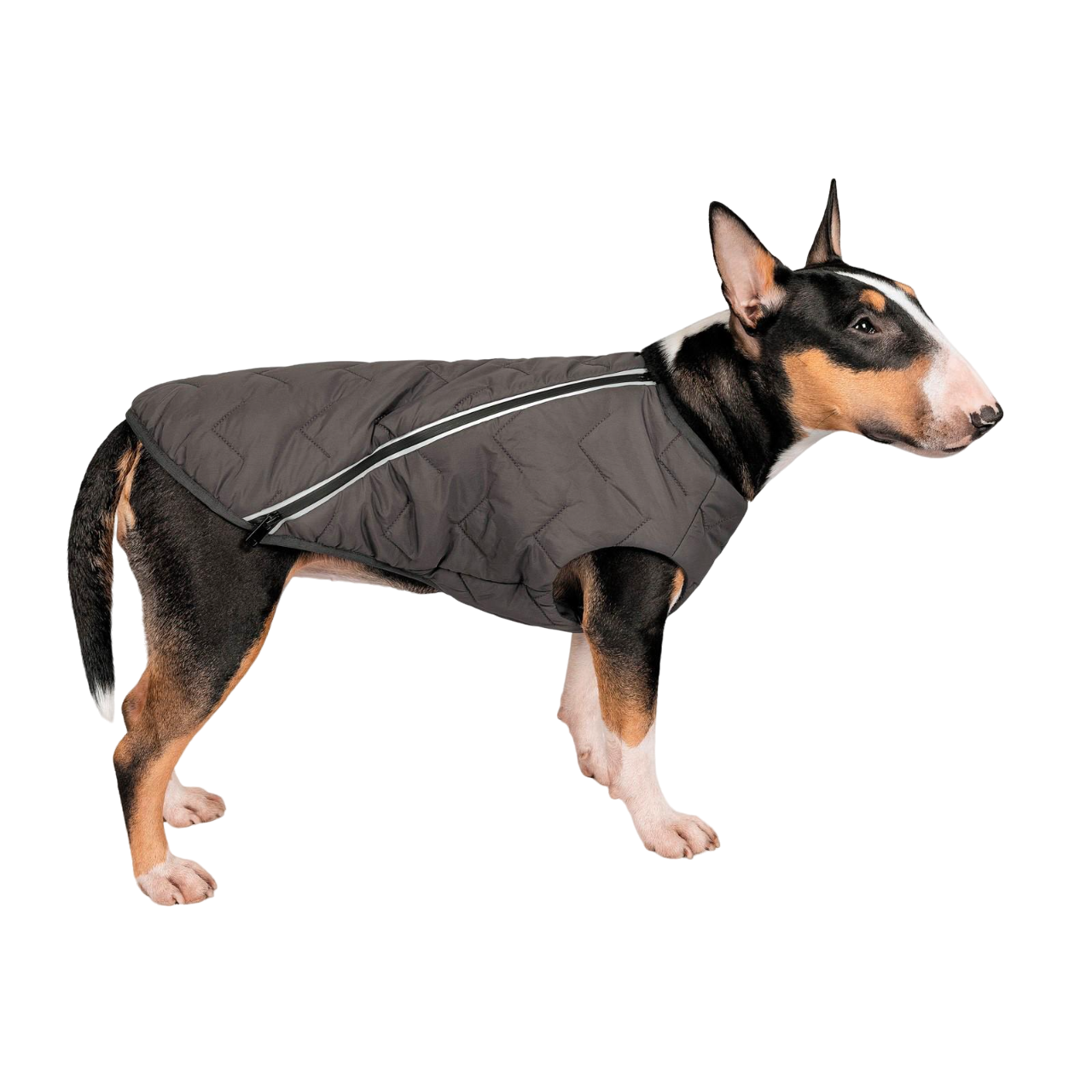 Жилет Pet Fashion E.Vest S Серый (PR242437)