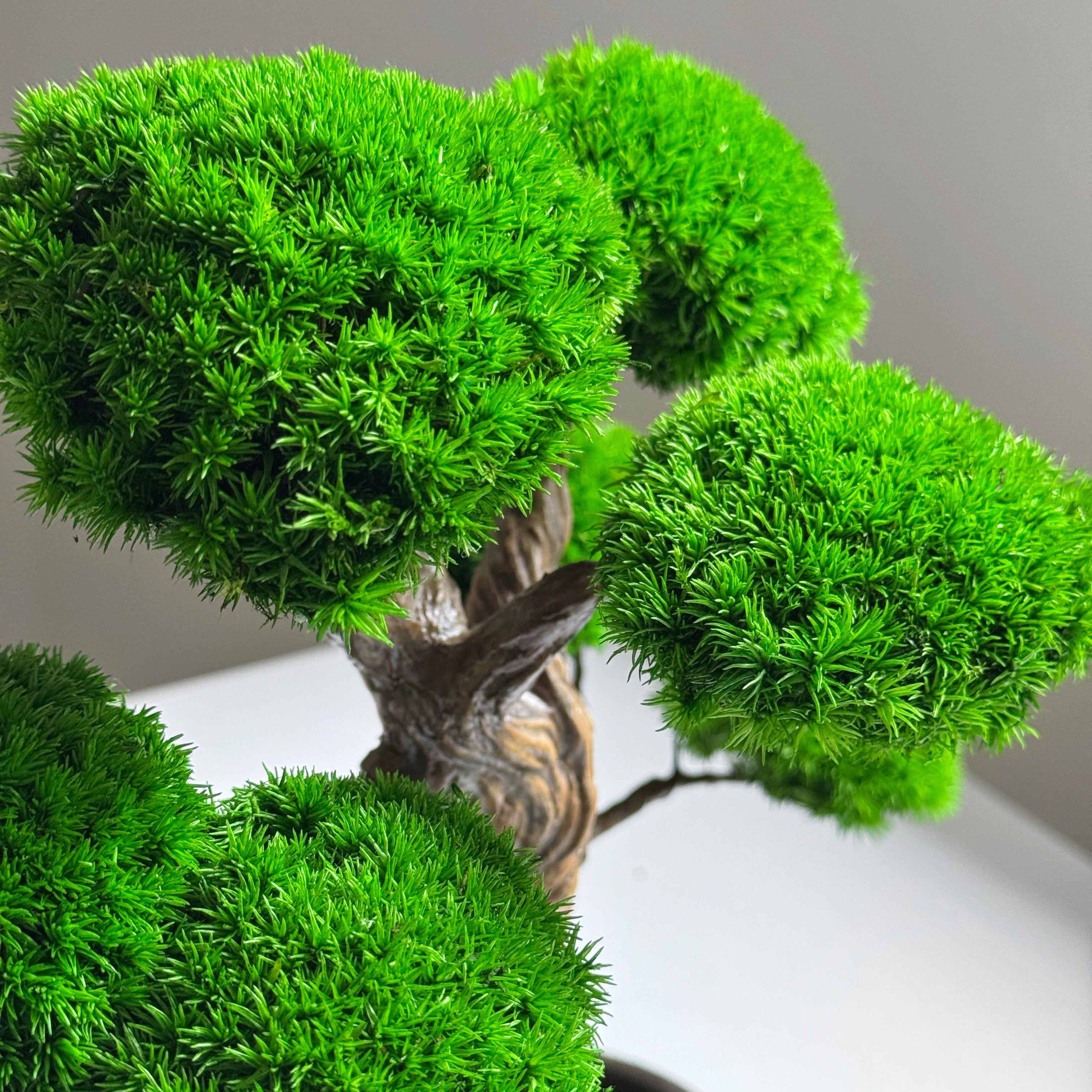 Бонсай зі стабілізованих рослин 26х25 см - фото 5