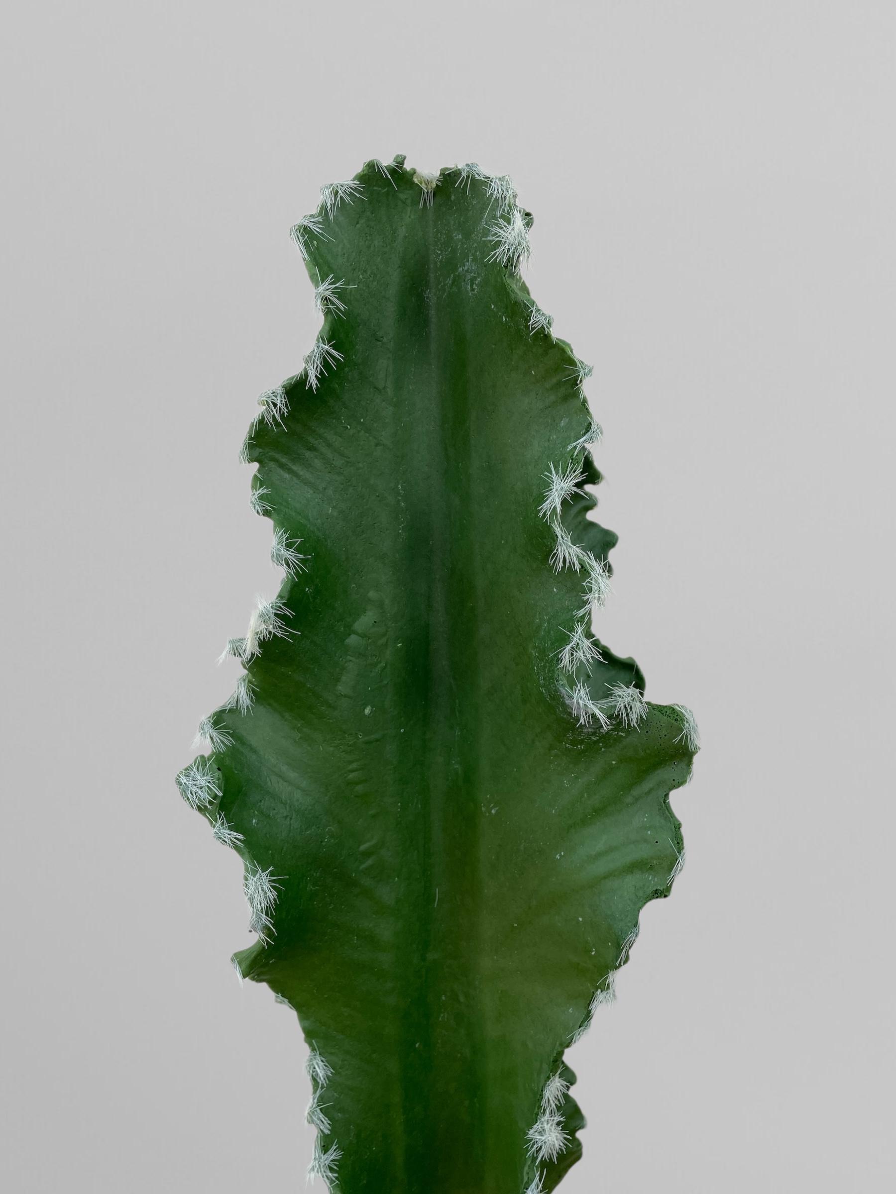 Искусственный кактус 138 см Зеленый (Р06007) - фото 7