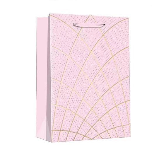 Подарунковий пакет Stenson R96696-L Lines