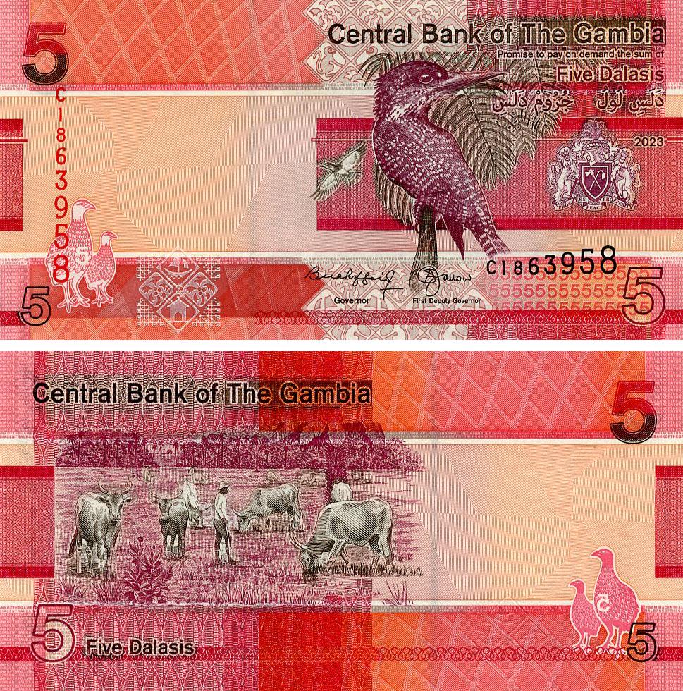 Коллекционная банкнота Гамбия 5 даласи 2023 UNC Ptitia (PW37)