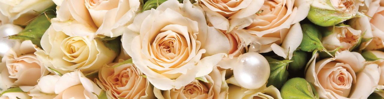 Наклейка виниловая на кухню Zatarga Роза беж 600х3000 мм (1229941898) Наклейка виниловая на кухню Zatarga Роза беж 600х3000 мм (1229941898)