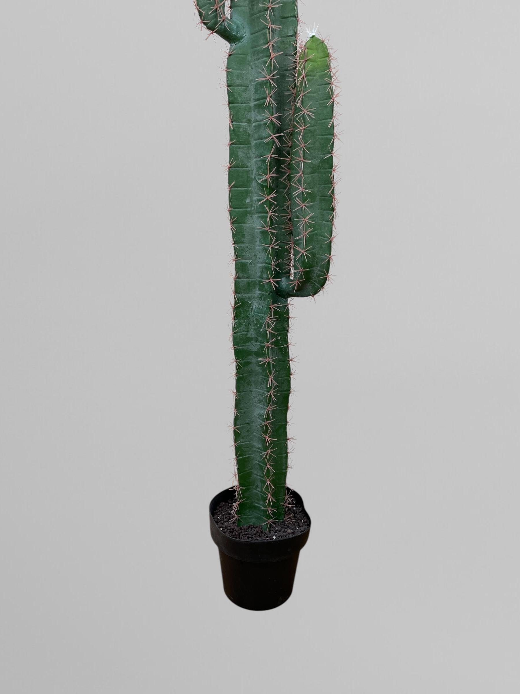 Искусственный кактус 150 см Зеленый (Р06002) - фото 4 Искусственный кактус 150 см Зеленый (Р06002) - фото 4