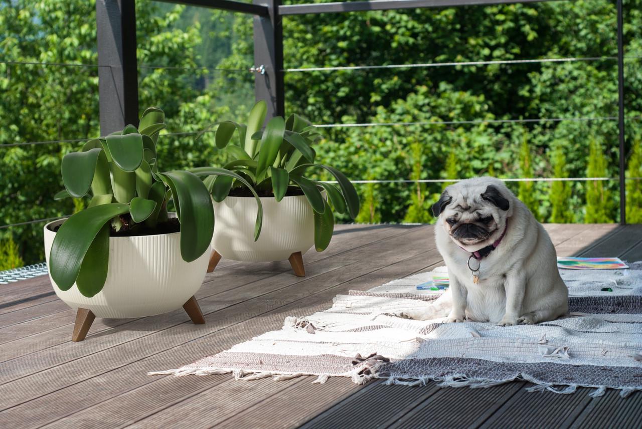 Вазон Lamela ROMA jumper 400x205 мм Бежевий (A-025860) - фото 6