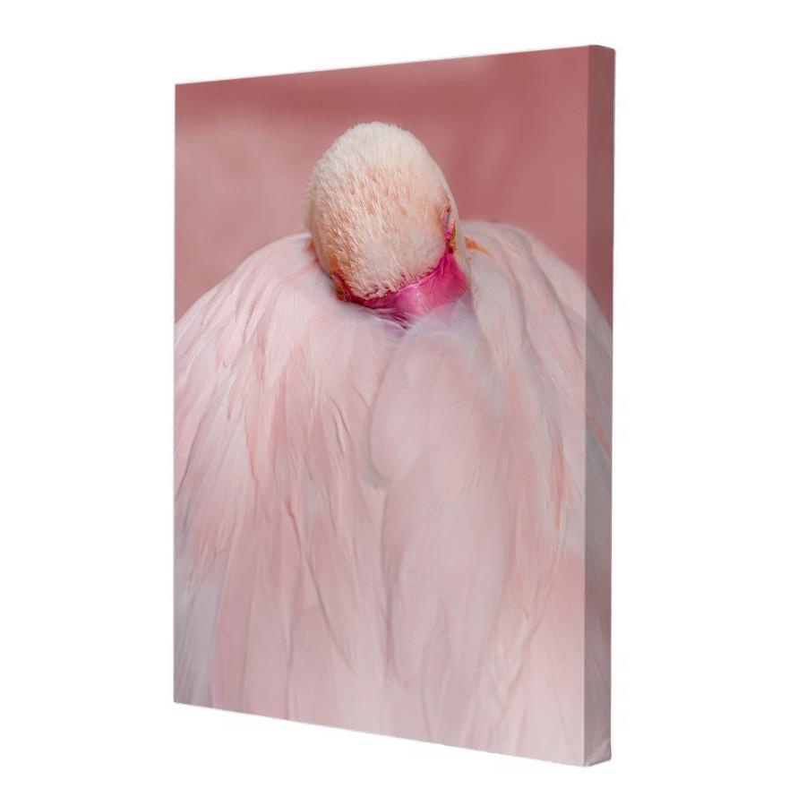 Постер Riviera Blanca Пухові сни 40x50 см (ПС50-185)