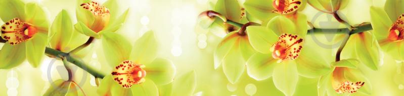 Наклейки кухонный фартук  Zatarga "Орхидеи тигровые "  600х2500 мм Желтый (Z180280)