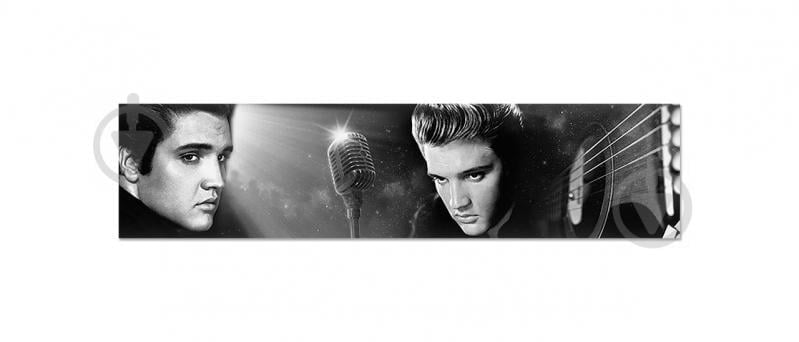 Наклейки кухонный фартук Zatarga "Элвис " 600х2500 мм Черный (Z180321) Наклейки кухонный фартук Zatarga "Элвис " 600х2500 мм Черный (Z180321)